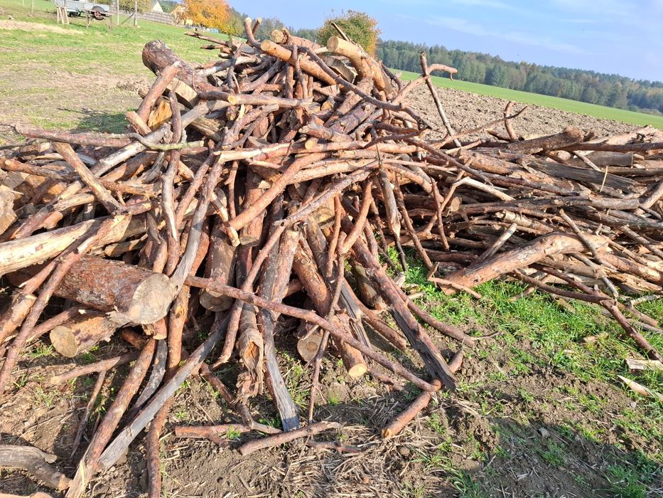 Drewno opałowe sosna