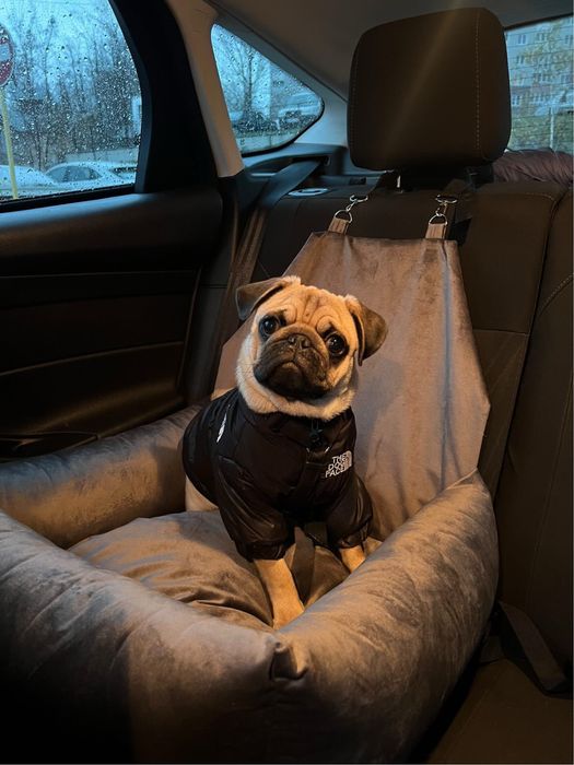 Автокрісло для собак