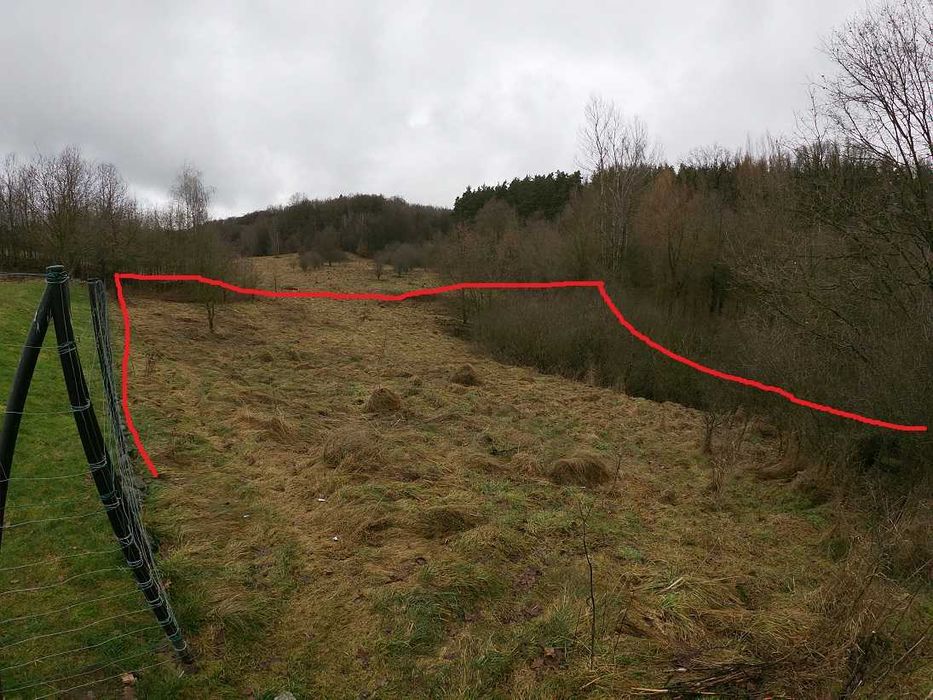 Działka  rolna  42a  Jerzmanice  Zdrój     !bieszczadzkie klimaty!