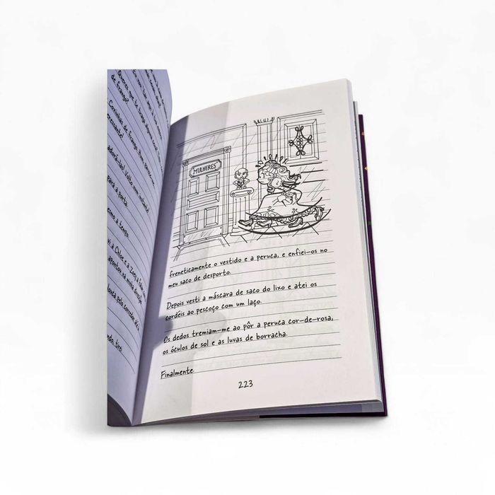 Livro “Diário de uma Totó 2” – Rachel Renée Russell (Como Novo)