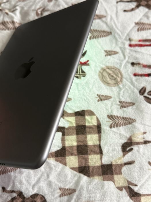 IPad Mini 5 256 Gb Space Gray