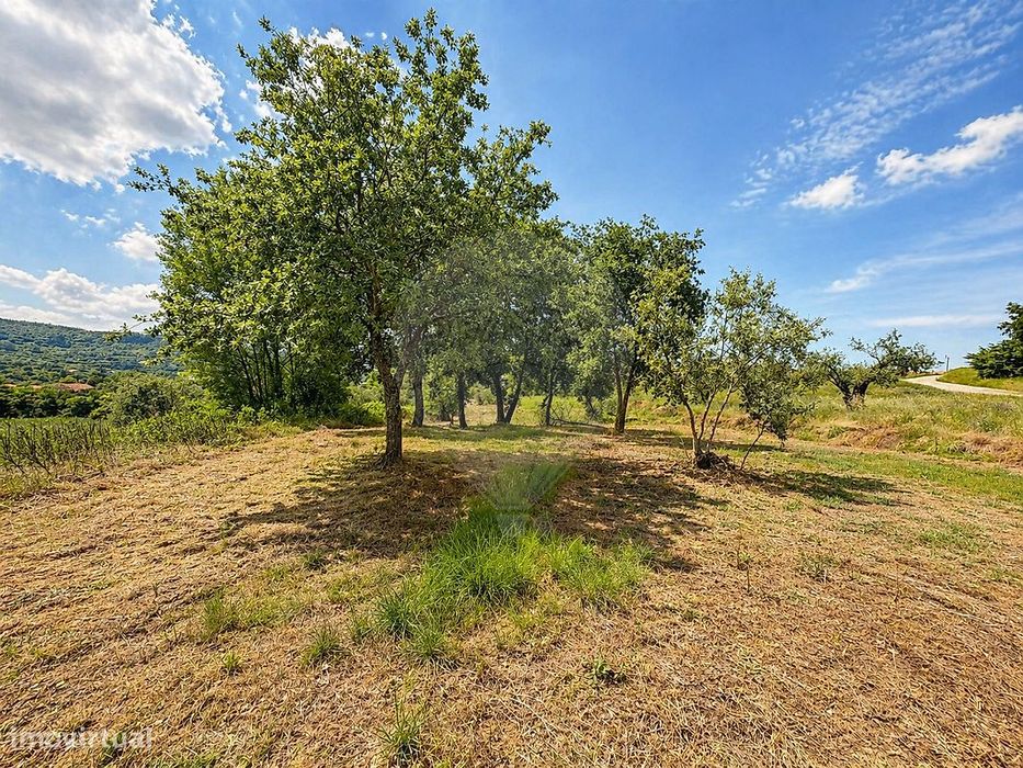 Terreno  para venda — Pombal, Leiria
