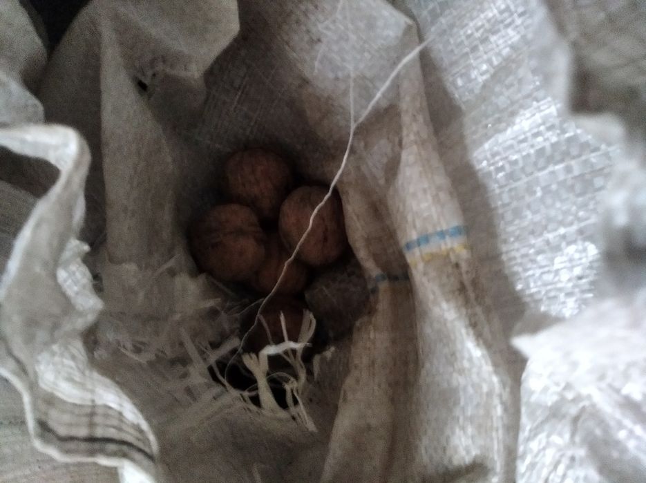 Продам орехи грецкие прошлого года
