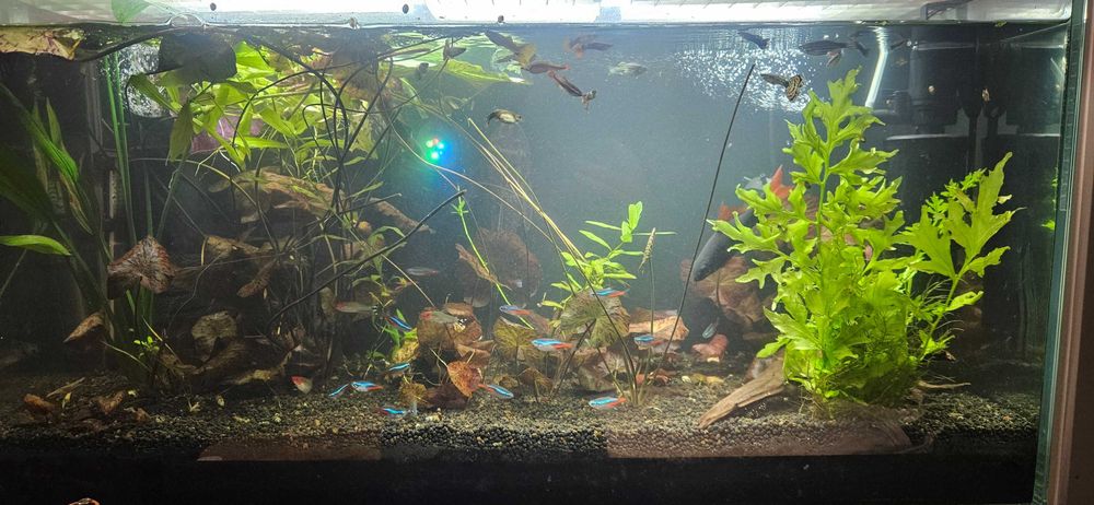 Sprzedam Akwarium 107l