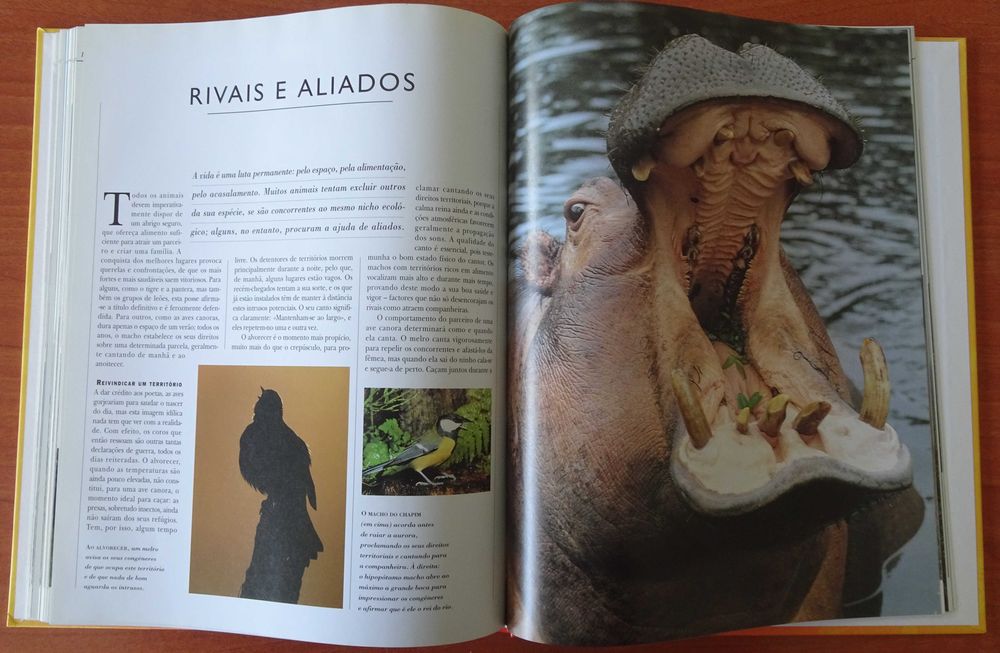 A Vida Secreta dos Animais