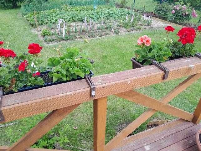 Działka na Rodzinnych Ogródkach Działkowych