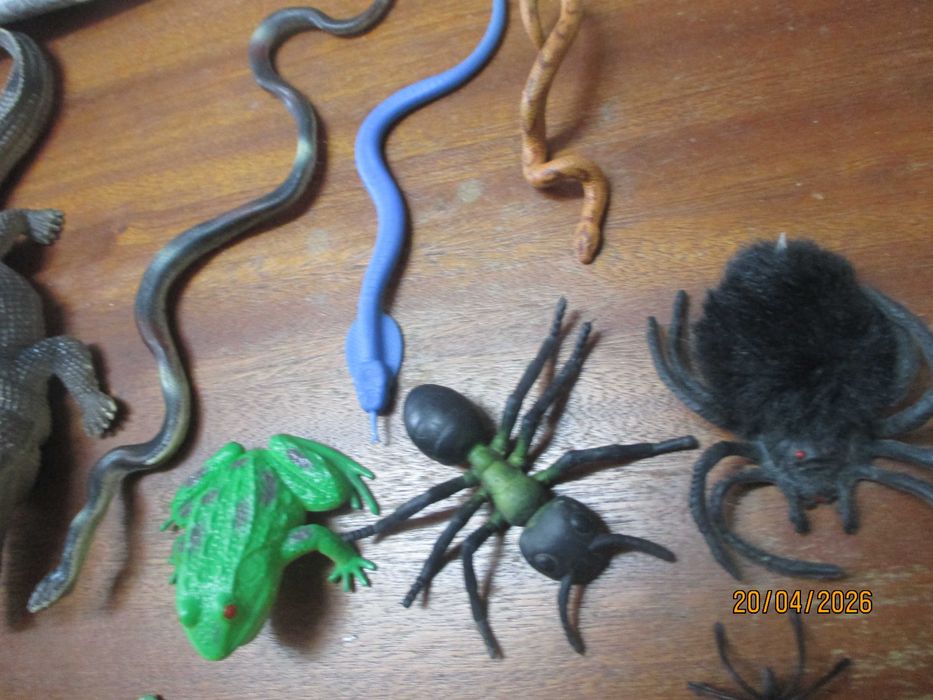 18 figuras de repteis e insectos
