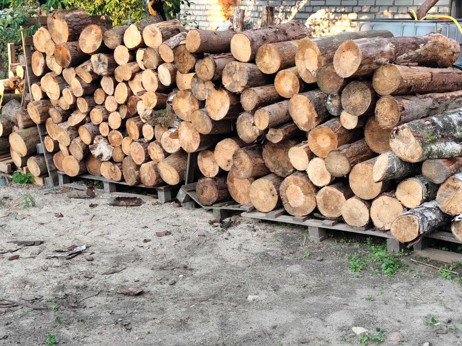 Drewno opałowe sezon