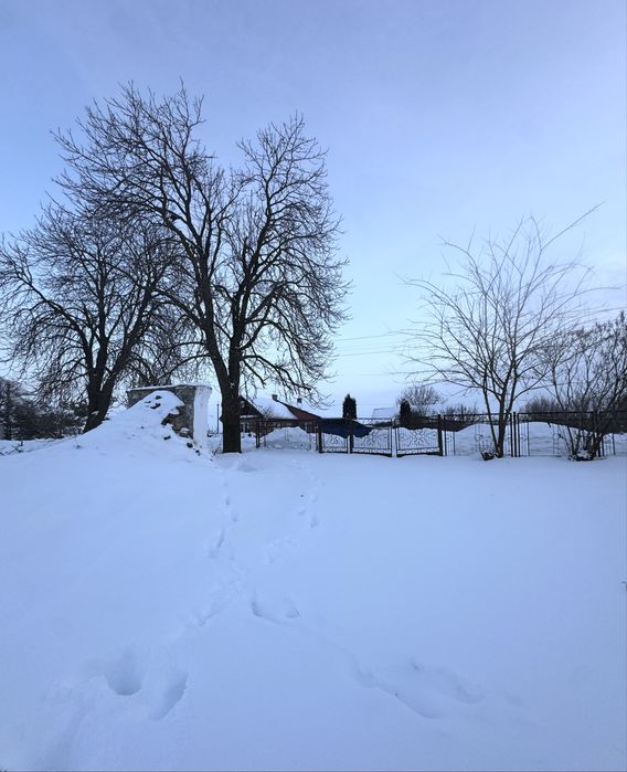 ‼️ПРОДАЖ. Земля. Земельна ДІЛЯНКА‼️с. Сатиїв