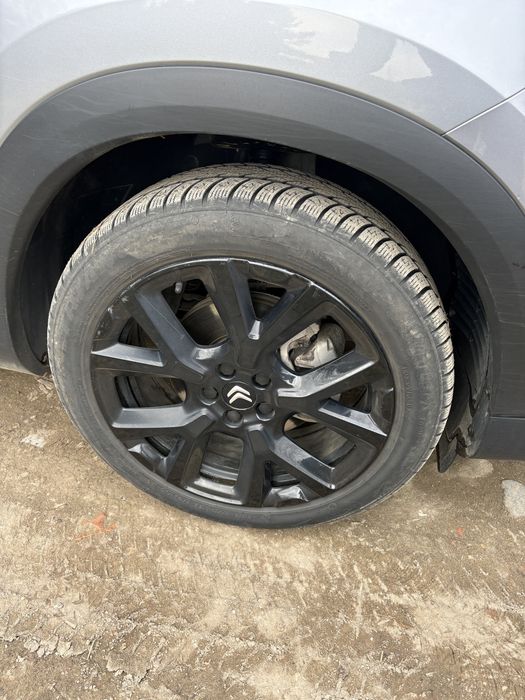 Opony zimowe Triangle WinterX TW401 205/55R19 97 V
