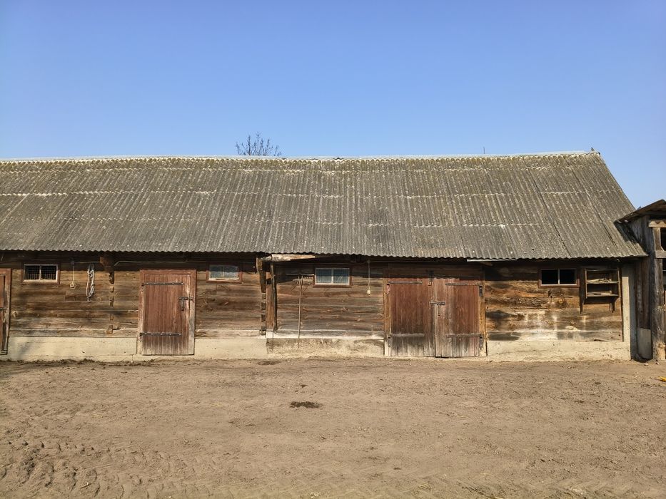 Obora drewnia z bala