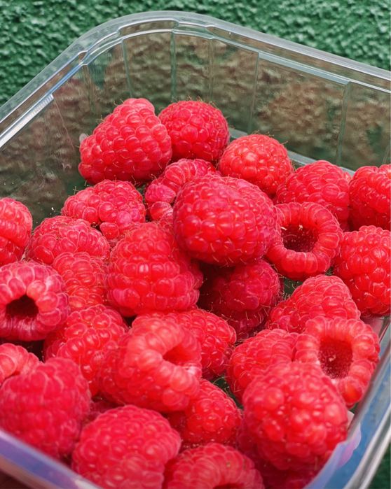 Framboesa + Mirtilos