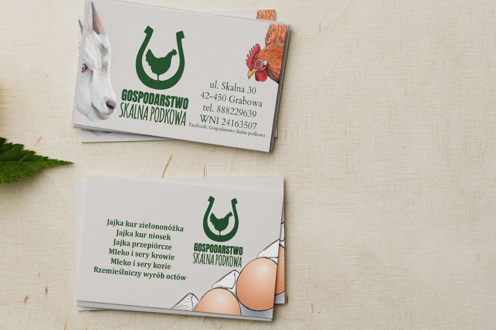 2 opakowania Jajka Przepiórcze - Gospodarstwo Skalna Podkowa