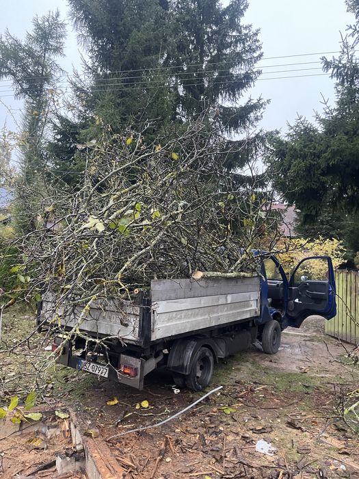 rozbiorka domków drewnianych