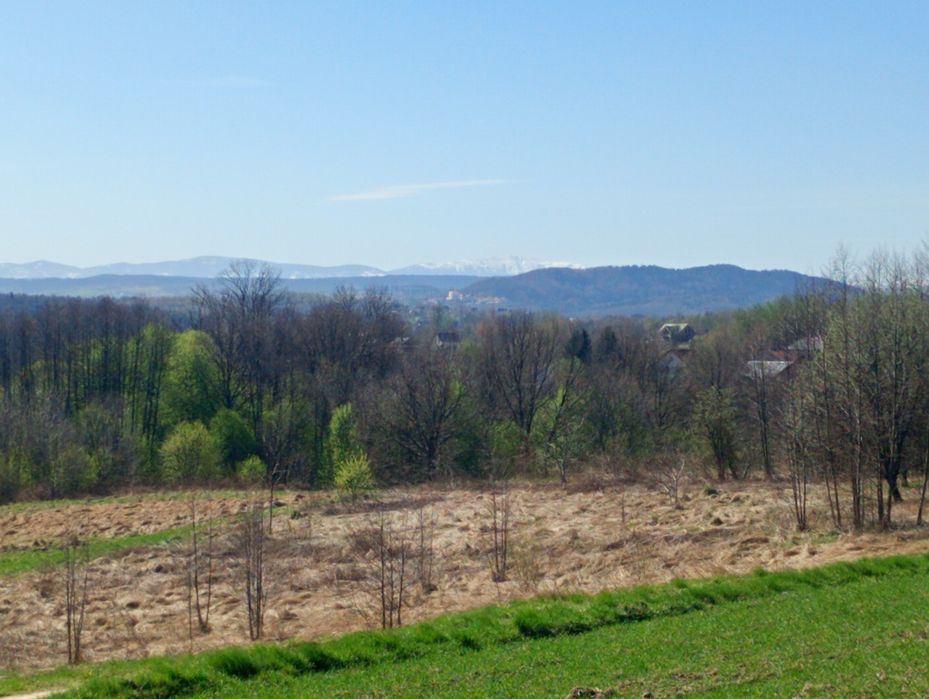 Dom z dużą działką - Widok 4