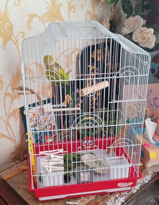 Клетка TRIOL большая