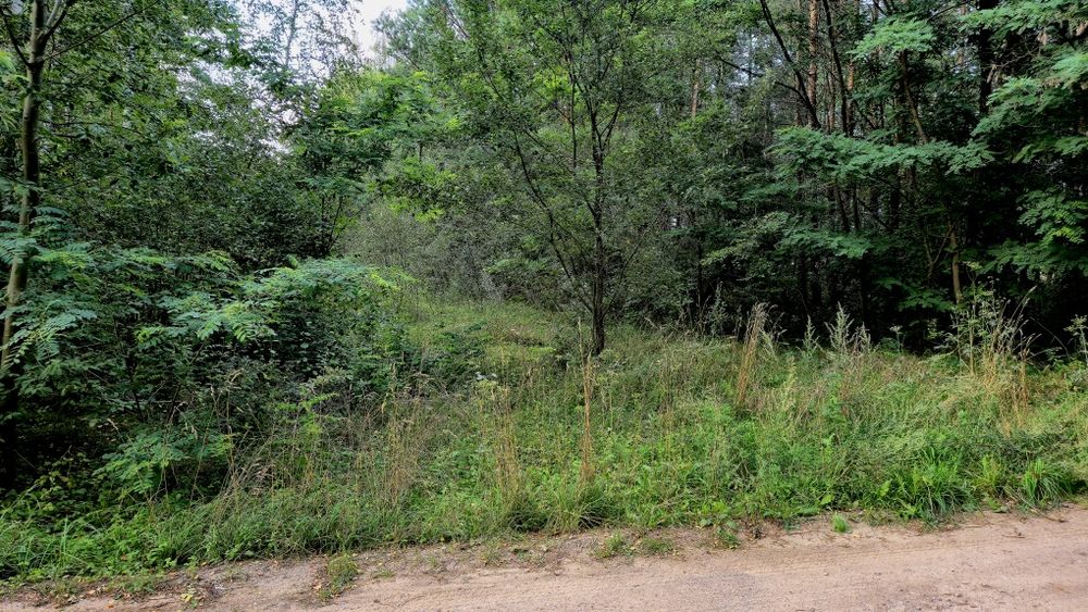 Działka  budowlana 16 000 m²-Brańszczyk
