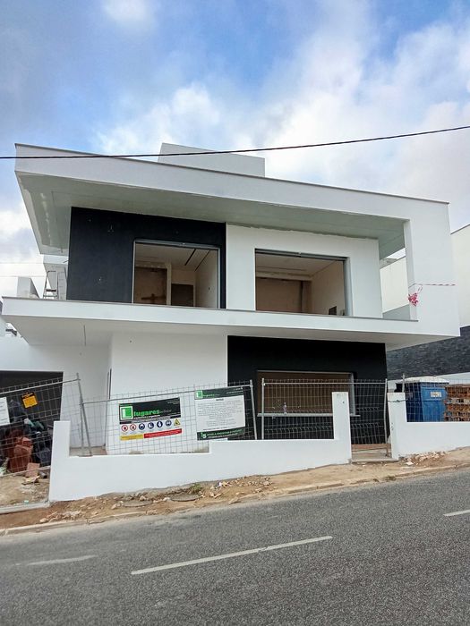 Sou pintor profissional