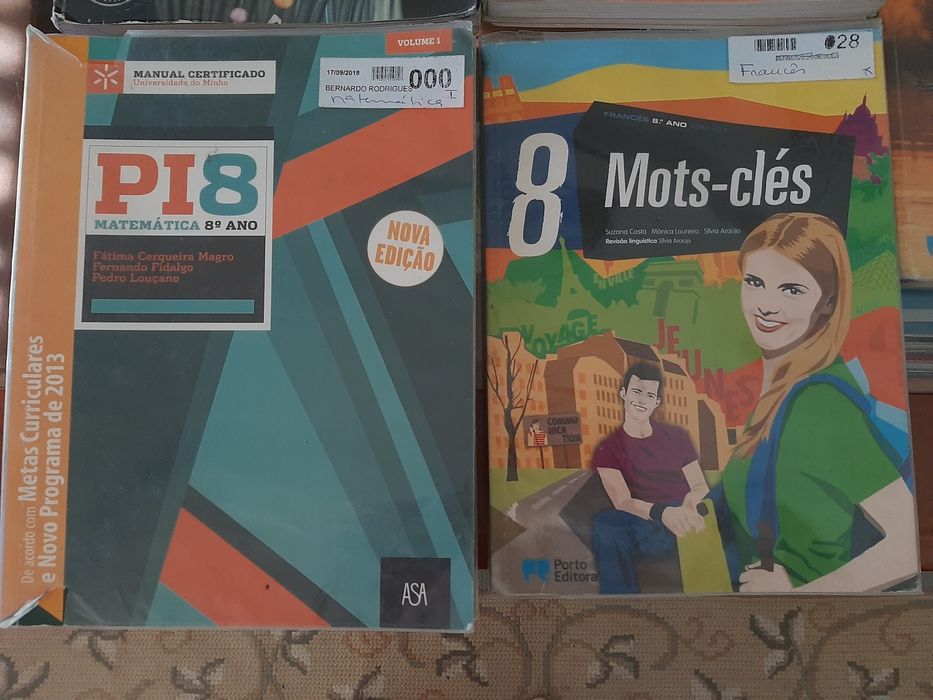 Diversos Manuais/Cadernos de actividades do 8° Ano.
