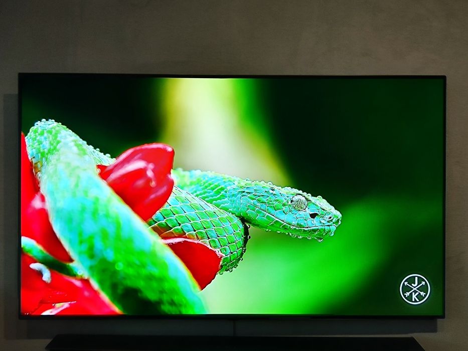 Telewizor OLED LG BX 55 cali 4K 120Hz webOS smart TV  DVB-T2