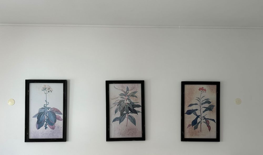 Quadros Parede conjunto 3 quadros