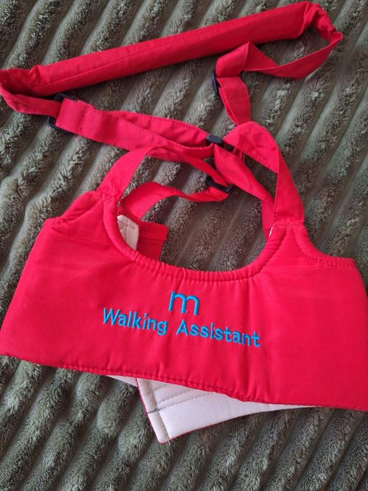 Дитячі віжки ходунки