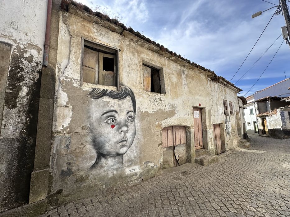Oportunidade na Aldeia Vinhateira de Trevões (Douro)