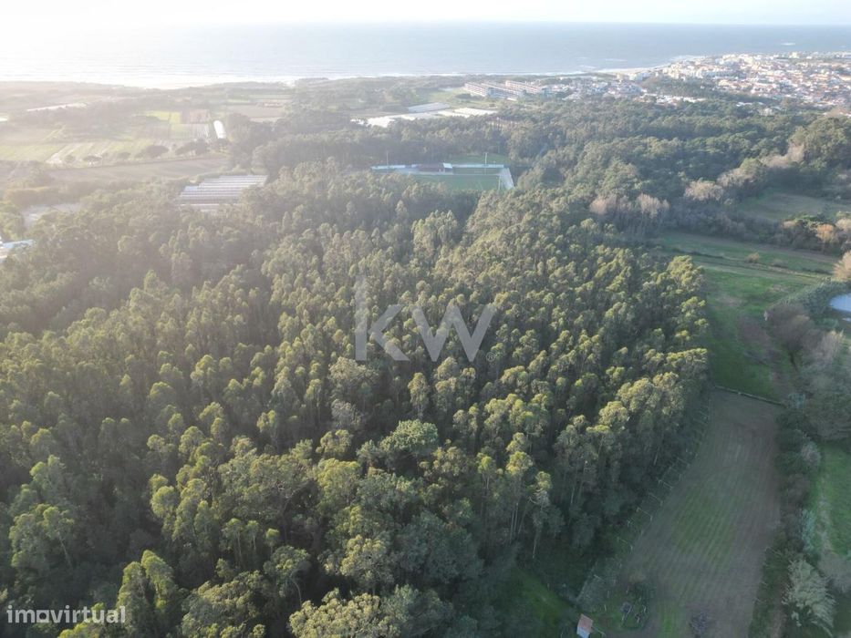 Rustic Plot for Sale in Apúlia - Esposende