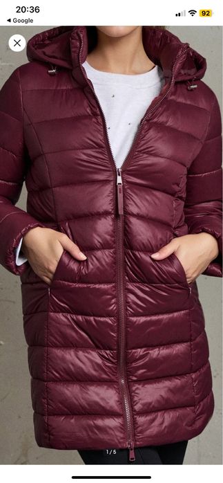 Kurttka burgundowa