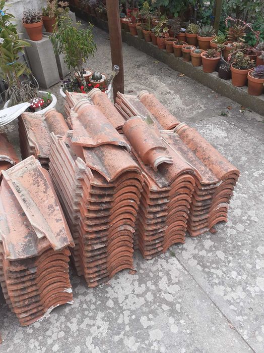 Telhas Lusa ( Oferta )