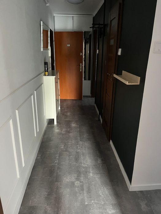 Mieszkanie do wynajęcia Sady 2 pokoje 47m2