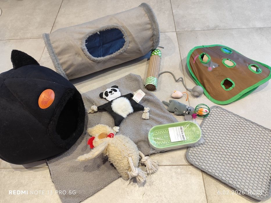 Zestaw dla małego kotka na start