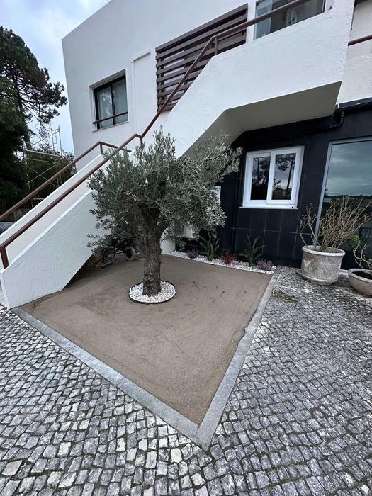 Jardinagem e Construção de Jardins - Oliveden Jardins