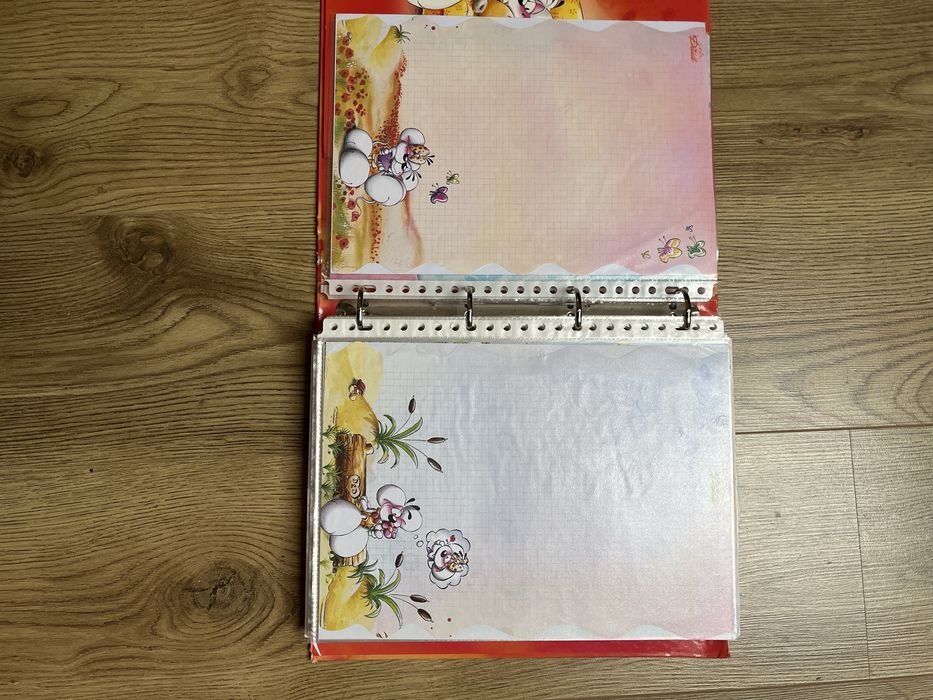 Segregator / karteczki Diddl