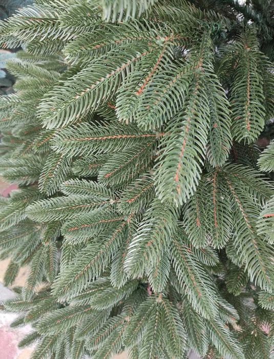 Топ!Лита ялинка Швейцарська штучна Преміум! Искуственная ель Елка!