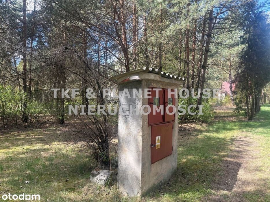 Zdjęcie 7