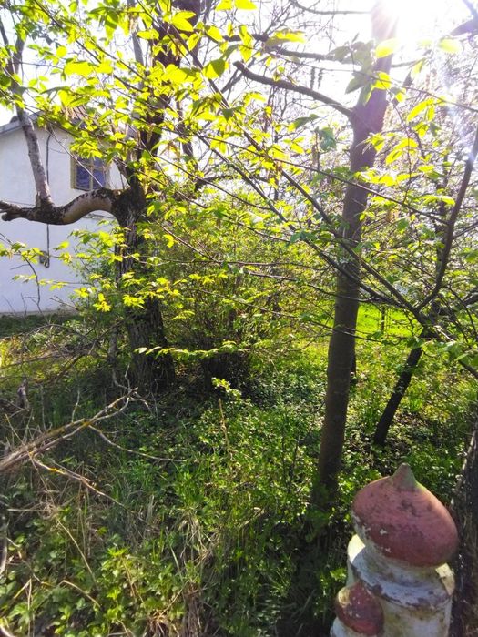 Будинок з земельною ділянкою