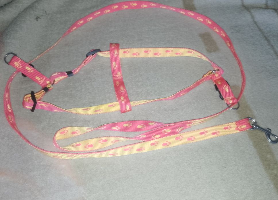 Поводок для собаки