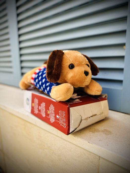 Saco de agua quante eletrico