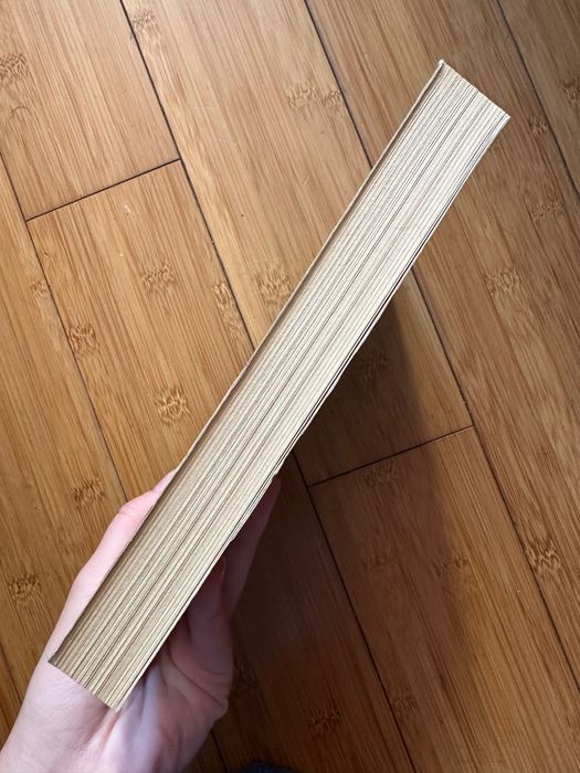 Lola Lwie Serce Tom 5 Isabel Abedi książka dla dzieci