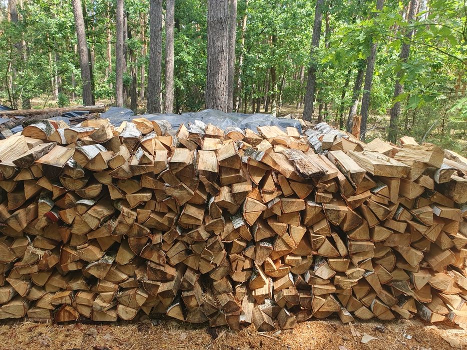 Drewno opałowe - brzoza, dąb, grab