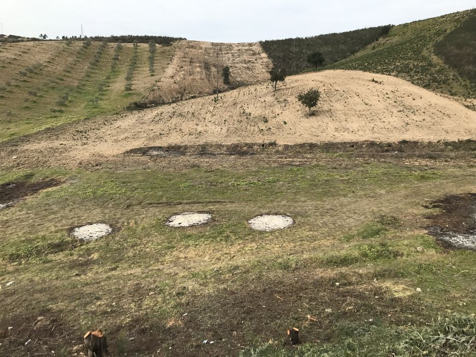 Terreno Rústico com 11.500 m² (1,15 ha) – Excelente Oportunidade de Investimento
