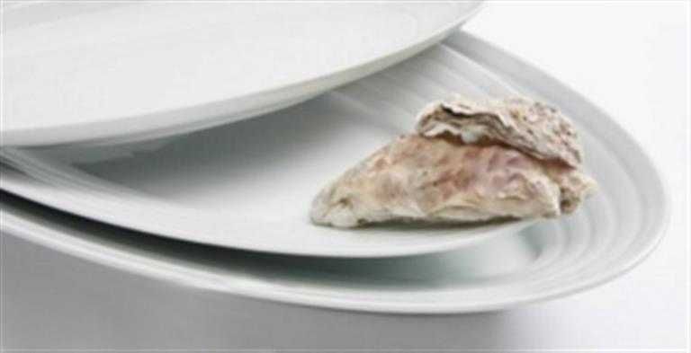SPAL SUITE Porcelana Fina Alta Qualidade
Venda avulso  - NOVO