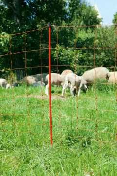 Siatka dla owiec TopLine Net, 50m, 90 cm pod. szpic biało-pomarańczowa