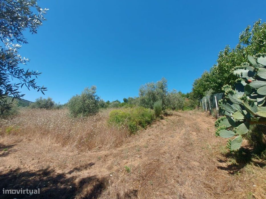 Venda Terreno