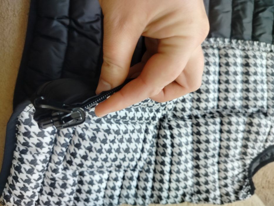 Бузрукавка осінь двостороння