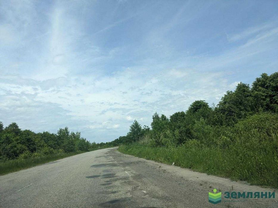 Продаж землі 1 га біля траси Тисмениця-Хом'яківка (5)