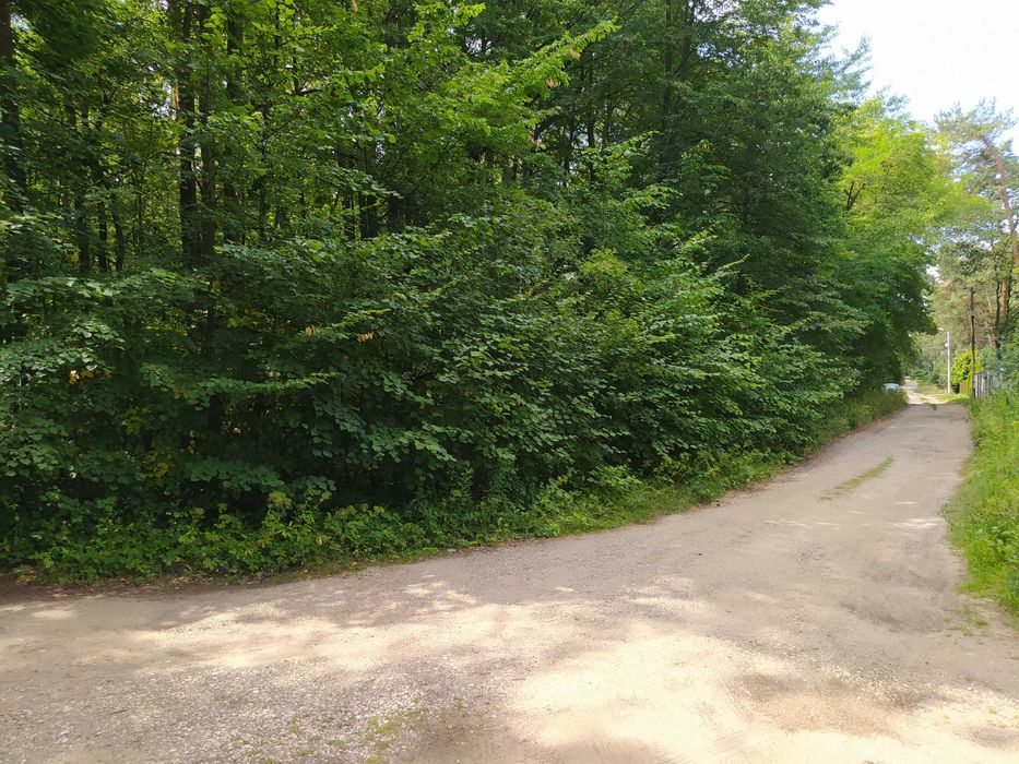 Działka budowlana 1,677 m2 - Sokolniki Las