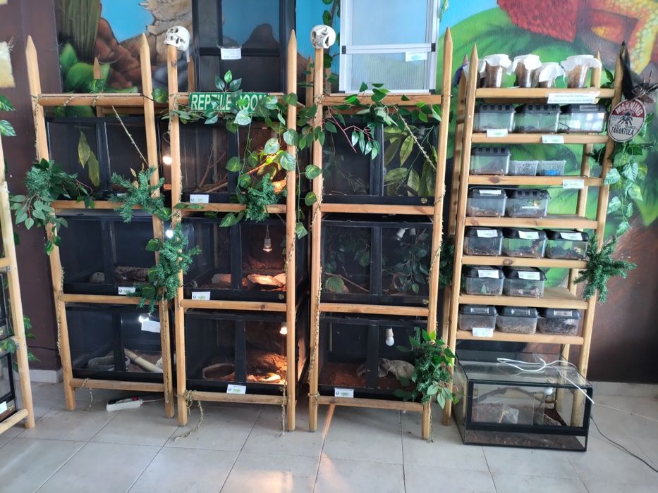 Estrutura de terrarios 60 cm,