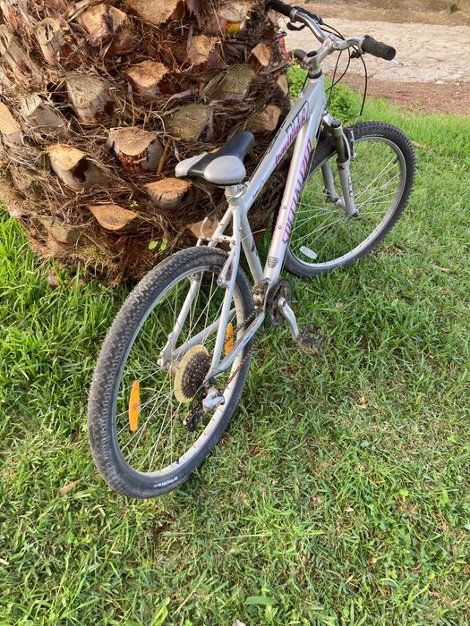 Specialized hardrock